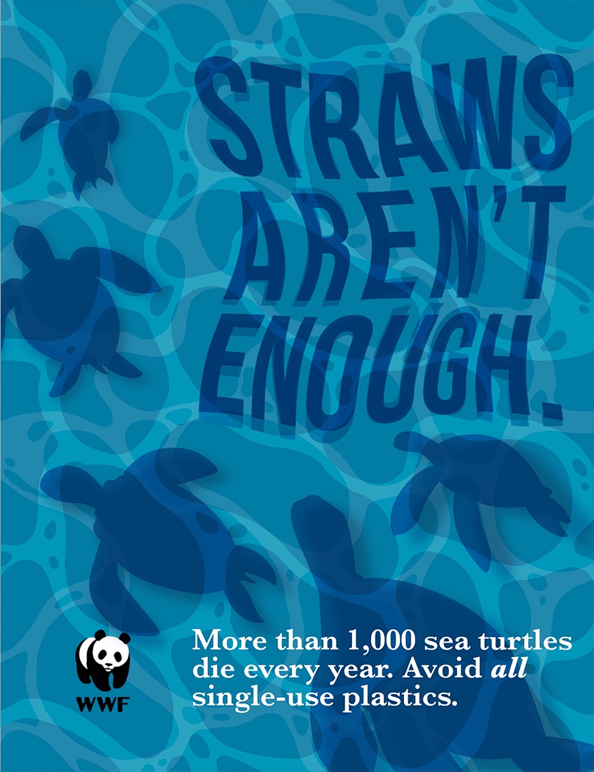 A poster design made for a WWF save the turtles campaign.